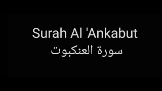Surah Al 'Ankabut by Yaser Salamah with English translation سورة العنكبوت للشيخ ياسر سلامه