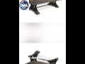 Pool Tables For Sale at DMA Online!