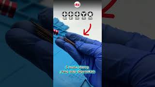 Sering ribet ganti obeng? Ini solusinya! #cellkit