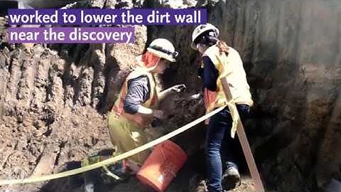 More fossils found during Purple Line Extension construction