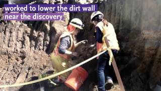 More fossils found during Purple Line Extension construction