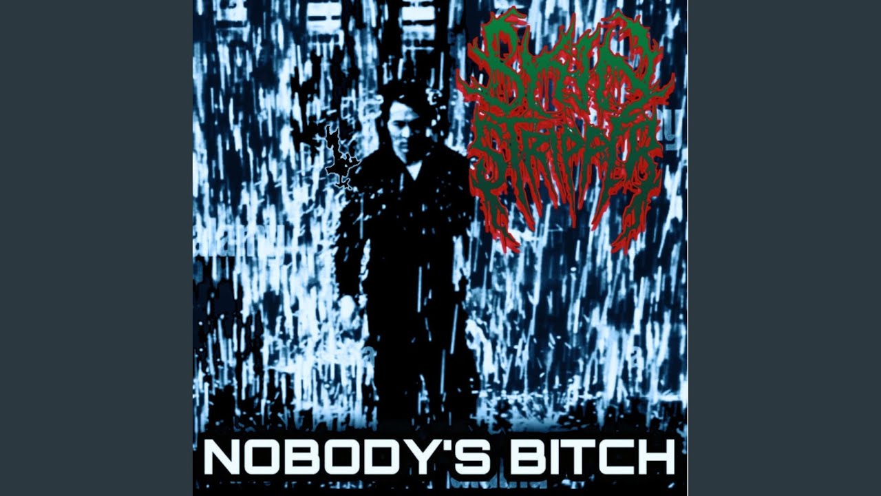 Nobody's Bitch