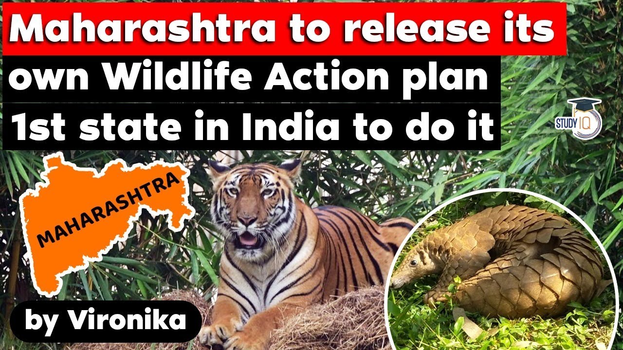 Maharashtra To Release Its Own Wildlife Action Plan 1st State In India To  Do It – Free PDF