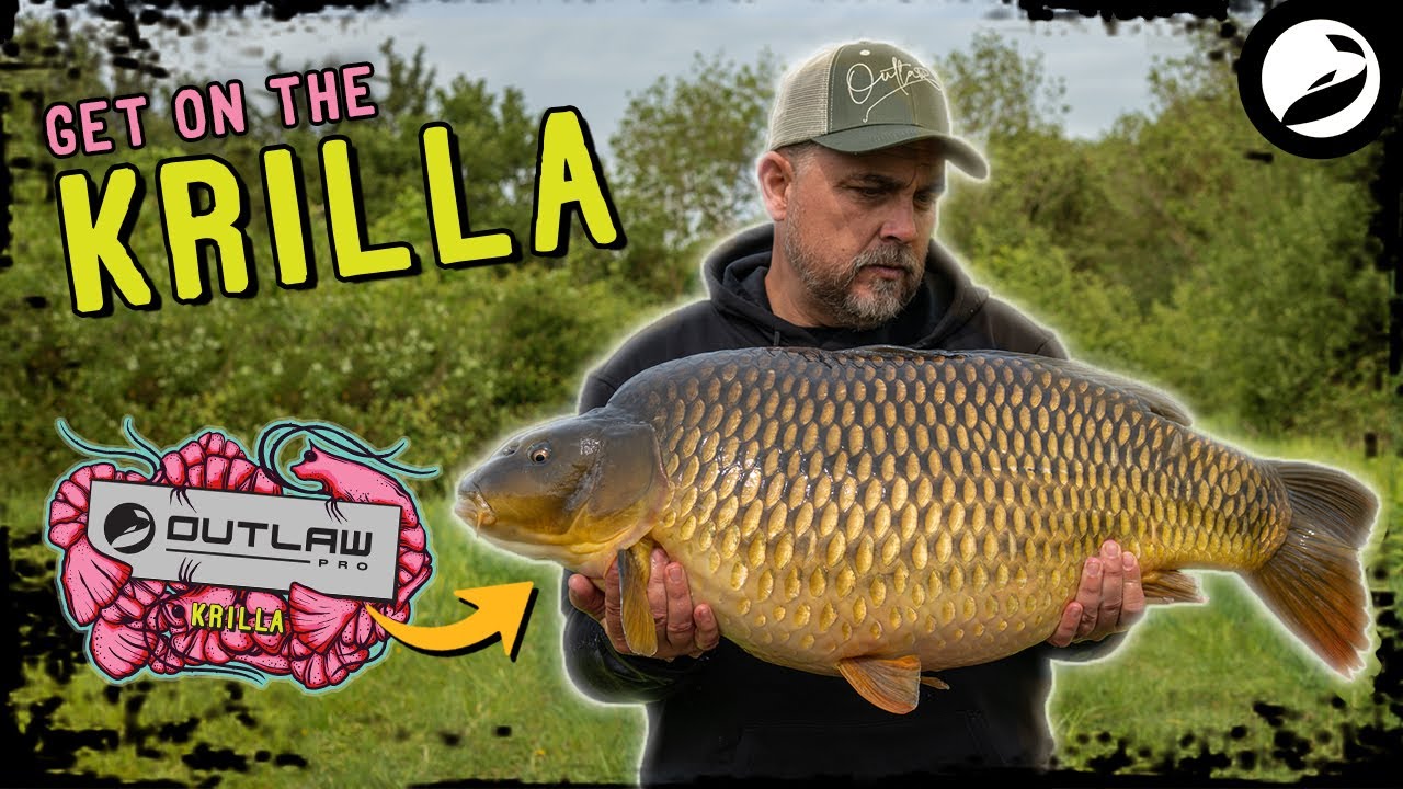 🤯BIG FISH BAIT! Carp Fishing with the Outlaw Pro Krilla - Why Gav