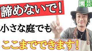 【諦めないで下さい！】園芸専門店店長が展示花壇を解説します　２ｍｘ４ｍの小さな庭でもここまでできる！　９つの例を紹介します　お庭づくり・花壇づくりの参考にしてください  japan garden