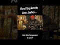 Red Squirrels Are Jerks #hunting #funnyvideos #humor #squirrels #deerhunting #ai #treestands #lol