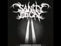 Sanity Decay - Continuous Streak (new 2011, in HD)