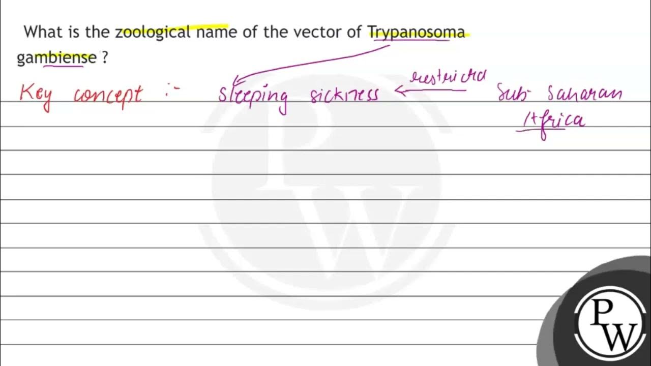 What Is The Zoological Name Of The Vector Of Trypanosoma Gambiensel what-is-the-zoological-name-of-the-vector-of-trypanosoma-gambiensel