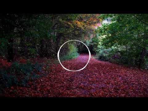 Cadmium - Ghost (feat. Eli Raain) BASS BOOST