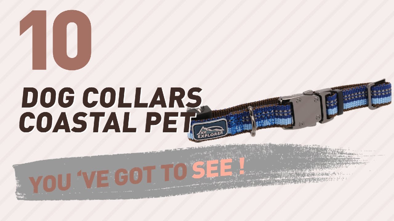 Dog Collars Coastal Pet // Top 10 Most Popular