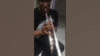 Trumpet olds nl10m serial number 543662