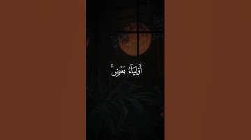 تلاوه من سورة المائدة|بصوت الشيخ أبو بكر الشاطري🎧♥️#trending #quran #قران_كريم #راحة_نفسية #قرآن