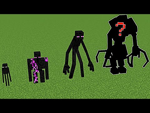 what enderman evolution