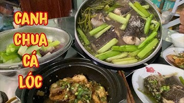 Canh chua cá lóc và món cá lóc kho nước dừa ngon lắm cả nhà ơi #35. Hùng Tình Vlog