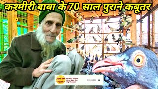 कश्मीरी बाबा के 70 साल पुराने कबूतर | Kashmiri Baba Ke Saharanpuri Kabootar | Jaipur Tonk Pigeons