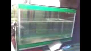 Negros Quake aftershock Bacolod Feb 6 2012