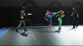 Batman and Robin vs Spider-Man - Full MMA Fight