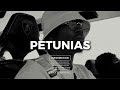 Lagui x Werenoi Type Beat 2025 - "PETUNIAS" | Dark Piano Trap Instru Rap