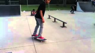 STEEZY TRE FLIP!!!