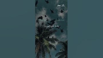 تلاوة من سورة الزمر: الآيات (53 - 54) / القارئ: سعود الشريم