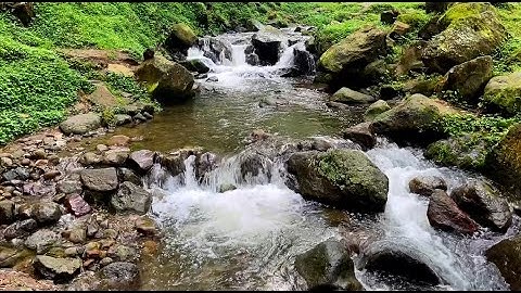Flowing Water Sounds for Tinnitus Relief: Mask Annoying Ringing and Fall Asleep