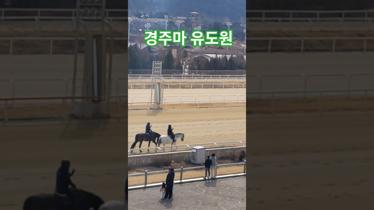 경주마 유도원 #경마 #말 #달려라말 #shorts #horse #그댄봄비를무척좋아하나요