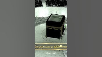 تلاوة فجرية جميلة من سورة النمل الشيخ بندر بليلة