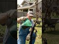 Soil Pro Activator - Improve Garden Soil Fast