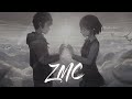 Floseptic  zmc official visual