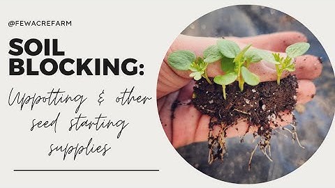 SOIL BLOCKING (2): Up-potting & additional seed starting supplies