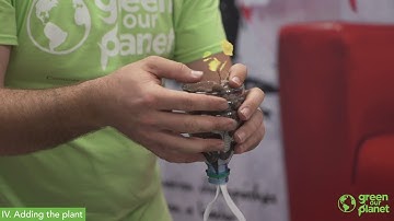 How to Build a Wicking Hydroponic System