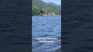 Un paseo por Lagoa da Conceição, Florianópolis Brasil 🇧🇷 😁 #shortsvideo