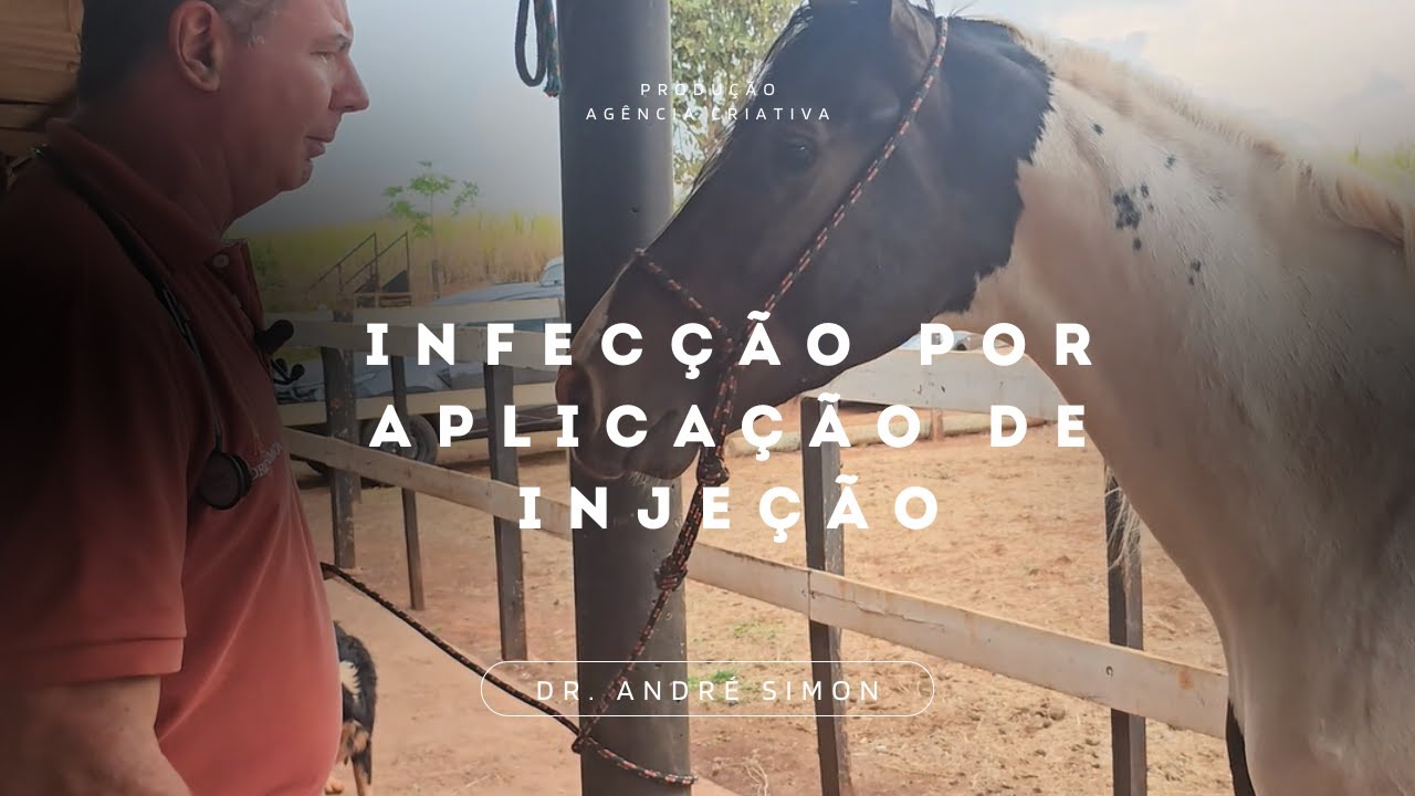 Infecção por Aplicação de Injeção | André Simon - Vet Raiz