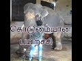 கொடுமையான  பயிற்ச்சி /elephant training
