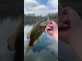 #fishing big bass