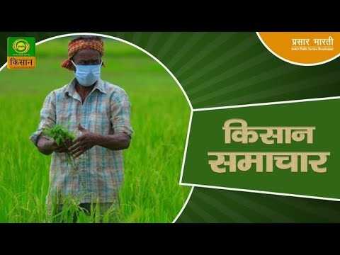 Kisan Samachar: Latest News of Agriculture | DD Kisan | Oct. 07, 2026