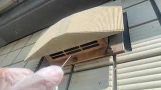 コウモリ追出し動画