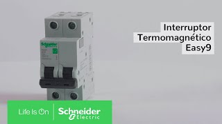 películas confirmar Calumnia Unboxing del Interruptor Termomagnético Easy9 - YouTube