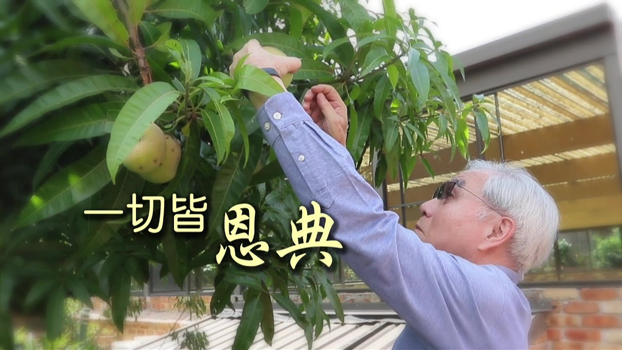 恩雨之聲香港版　《一切皆恩典》陳供生 - 粵語