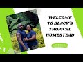 Welcome to blacks tropical homestead