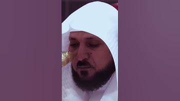 كلا إذا بلغت التراقي #ماهر_المعيقلي #سورة #القيامة