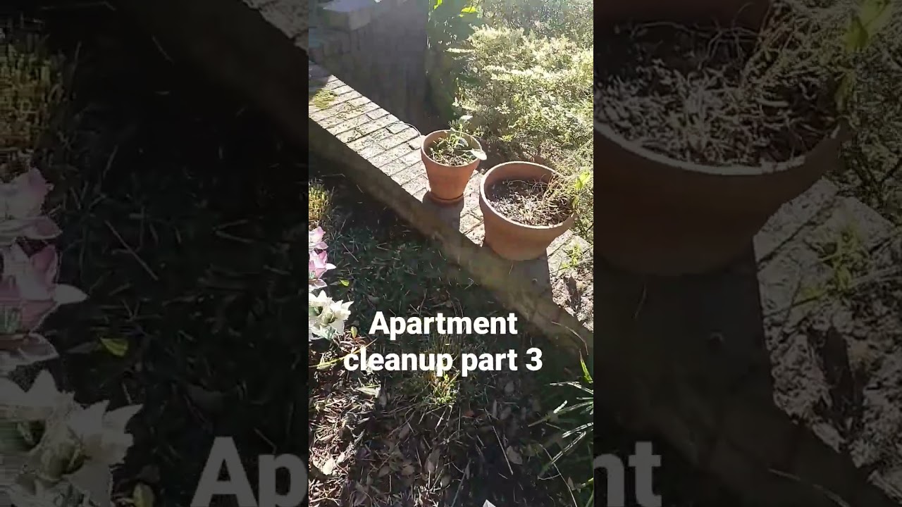 landscaping a apartment on a beautiful Carolina day