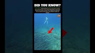 The Underwater Danger of Wearing Shiny Objects