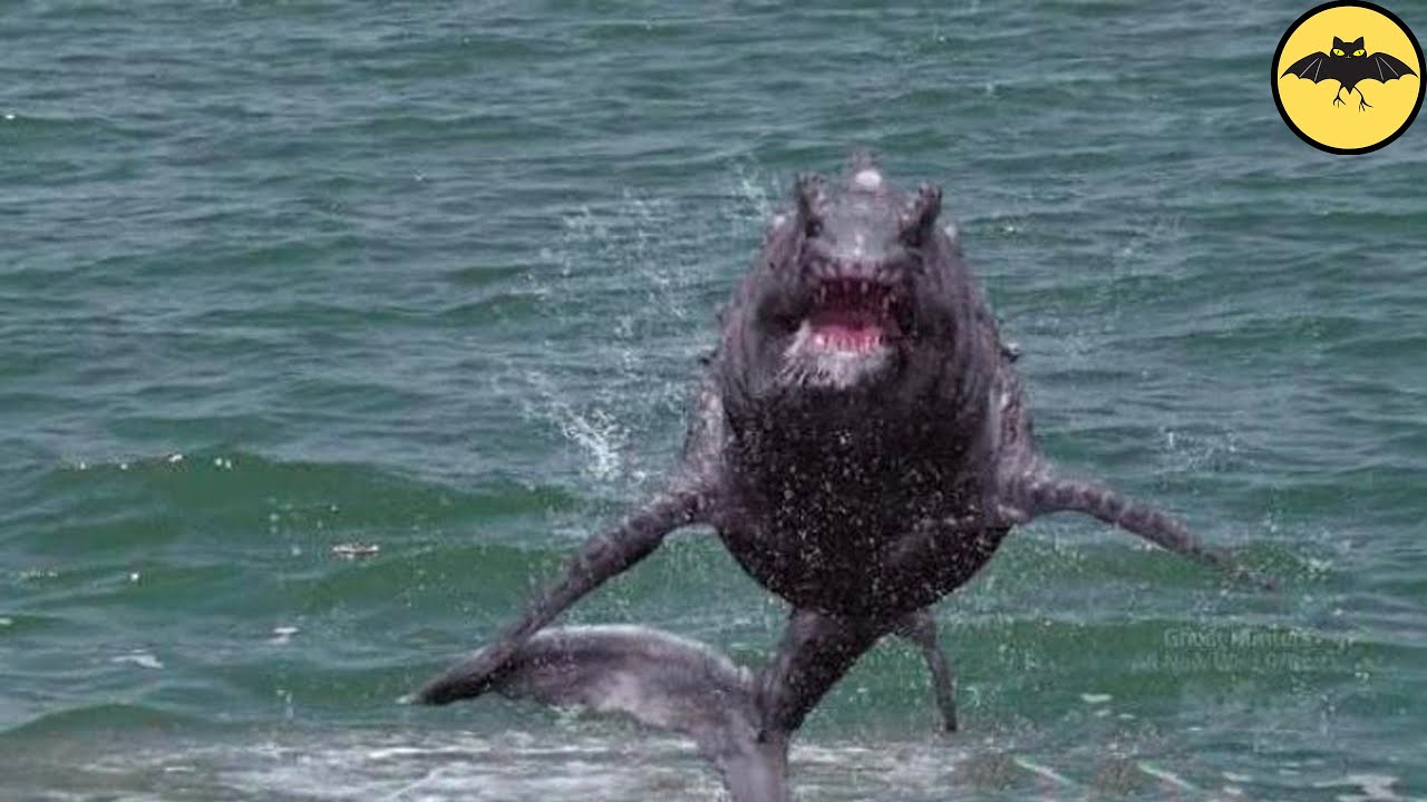 Soñar con tiburones fuera del agua