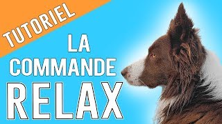 La Commande RELAX pour Libérer son CHIEN