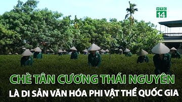 Chè tân cương Thái Nguyên công nhận là di sản văn hóa phi vật thể quốc gia | VTC14
