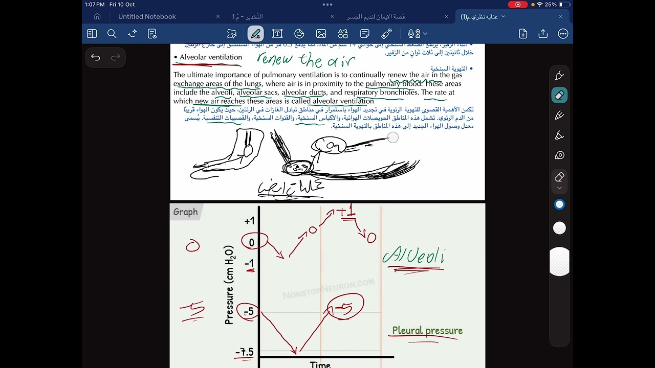 ICU , شرح pleural pressure , types of respiration, alveoli ventilation 