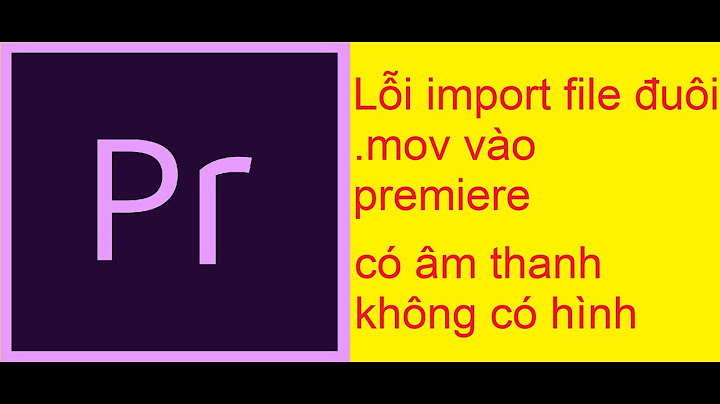 Khắc phục lỗi premiere không nhận file mov năm 2024