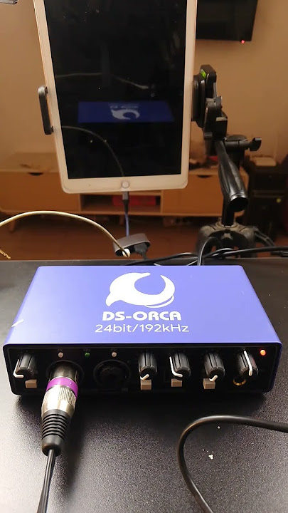 cara live streaming pakai DS orca #audiointerface #livestreamer