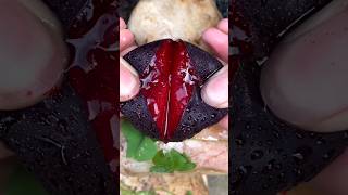 Benefits Of Eating Fresh Fruits